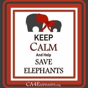 Meet your Posher, Tera